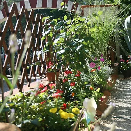 Nea Apartamento