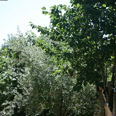 Apartments Nea *