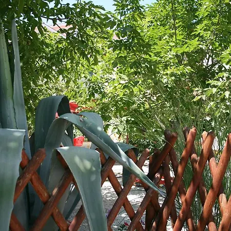 Apartments Nea * Rovinj